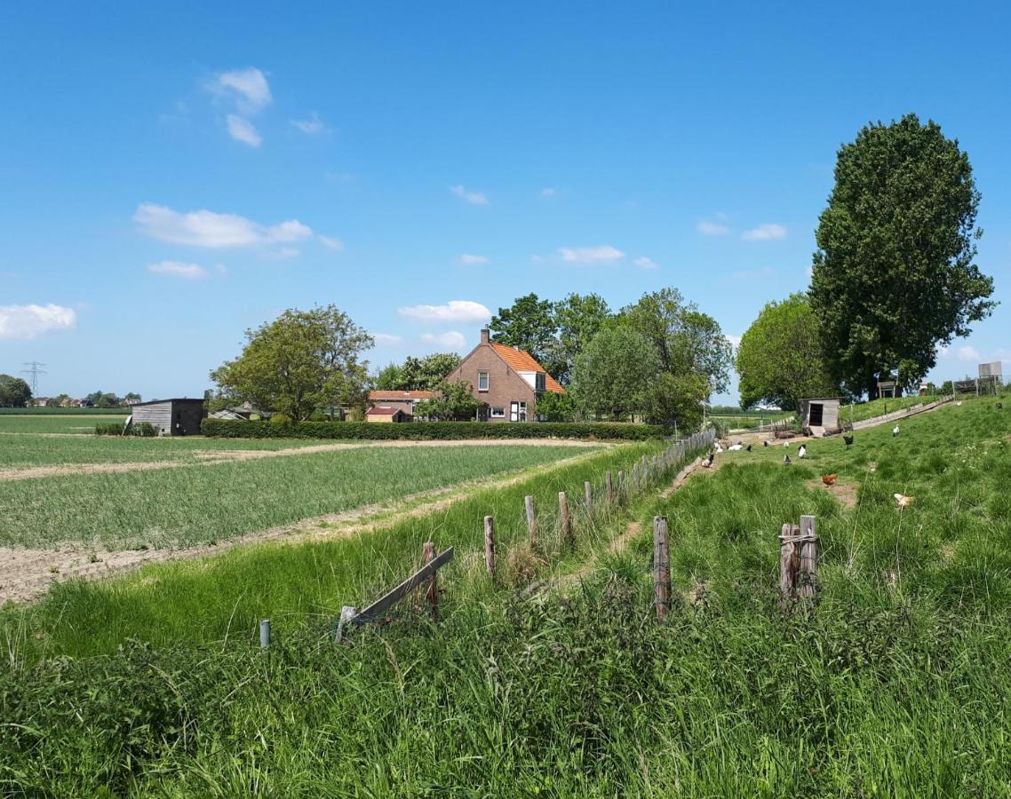 Lewedorp“In Oans Oefje” Parel In De Polder!公寓 外观 照片