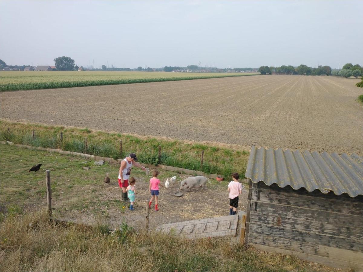 Lewedorp“In Oans Oefje” Parel In De Polder!公寓 外观 照片