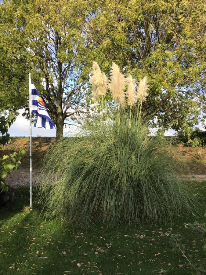 Lewedorp“In Oans Oefje” Parel In De Polder!公寓 外观 照片
