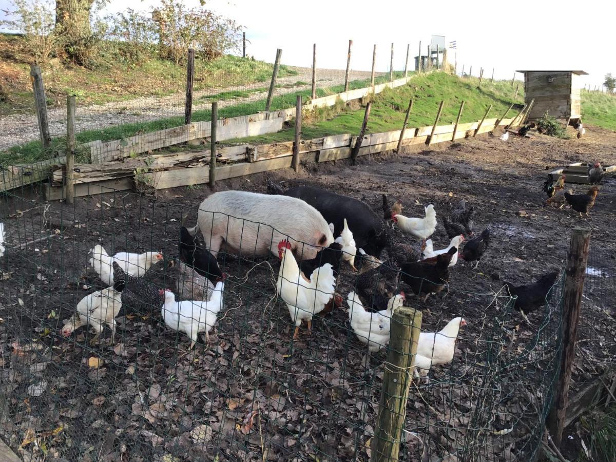 Lewedorp“In Oans Oefje” Parel In De Polder!公寓 外观 照片